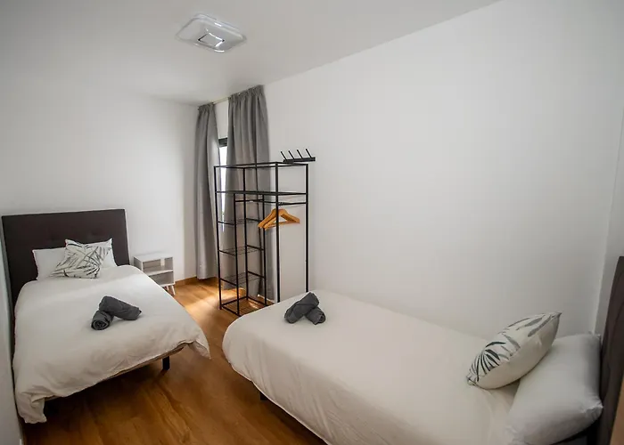 Limonero 大加那利岛拉斯帕尔马斯