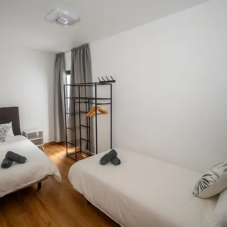 Limonero Las Palmas de Gran Canaria