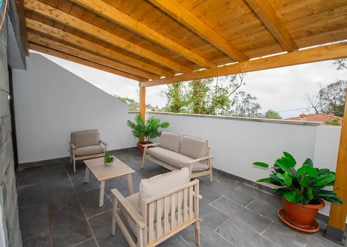 Limonero Las Palmas de Gran Canaria